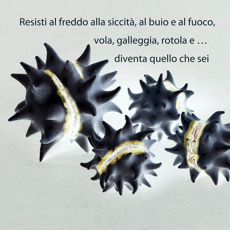 Parlano di noi su La Repubblica. "Semi in terra" è il titolo della mostra svoltasi nel 2012. Le opere rappresentano semi, germogli, forme ancestrali "che evocano una fase preistorica, destinate a un incerto divenire ma animate di grande forza vitale".